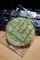 亀田製菓 無限のり