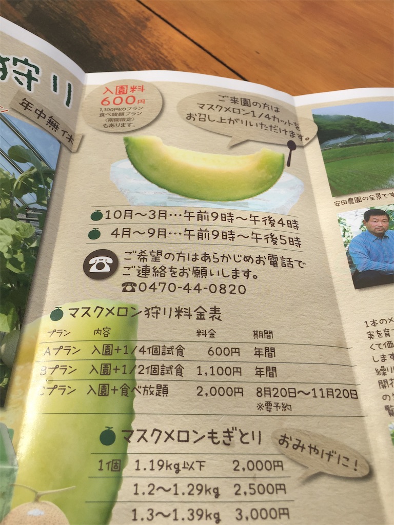 高級メロン食べ放題 南房総安田メロン農園が控え目に言ってもサイコーだった件 東京ウイスキー奇譚