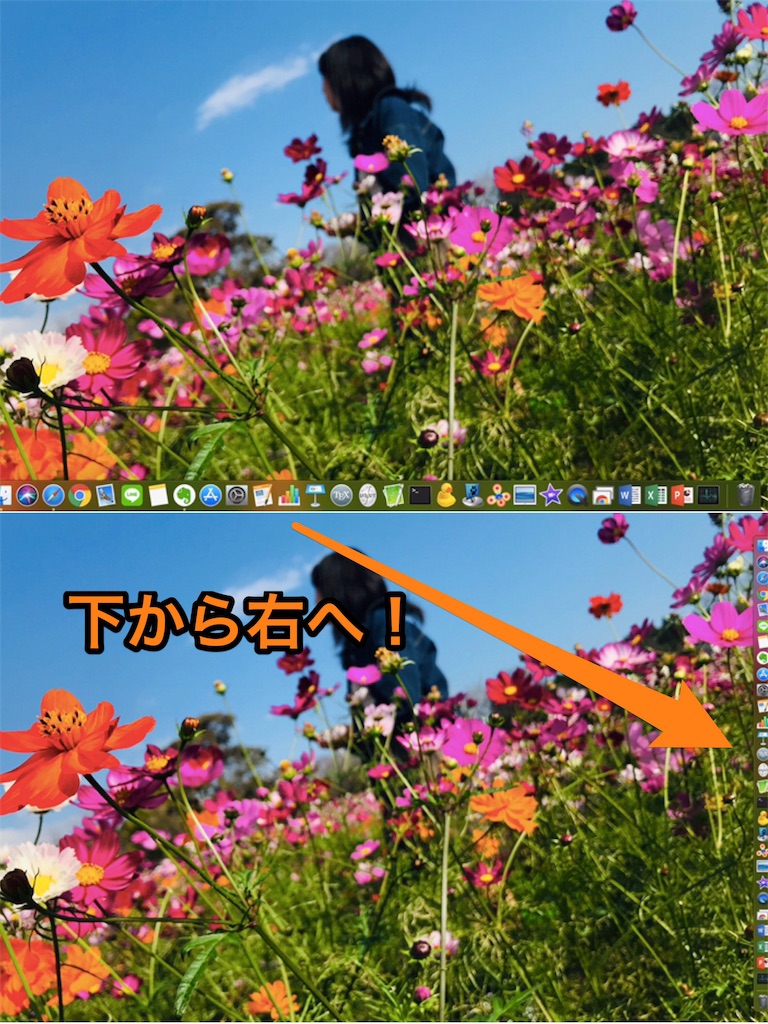 f:id:Kogu-Blog:20181126224858j:image f:id:Kogu-Blog:20181126224858j:image