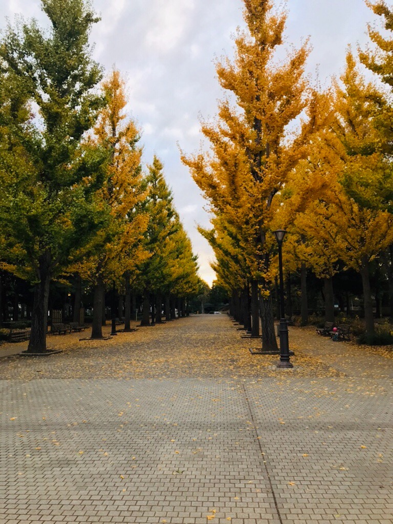 f:id:Kogu-Blog:20181127010406j:image f:id:Kogu-Blog:20181127010406j:image