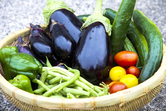 f:id:Koji-fitness:20190406072146j:image f:id:Koji-fitness:20190406072146j:image