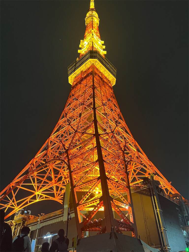 f:id:Kokoasan:20250301215245j:image
