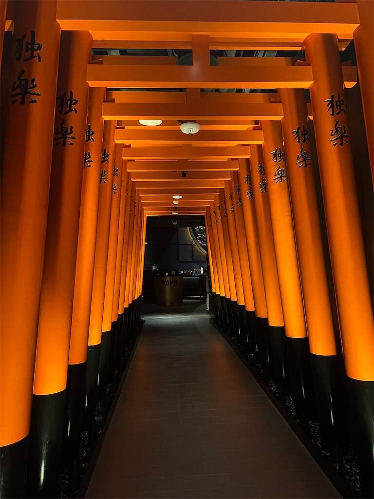 f:id:Kokoasan:20250302134925j:image