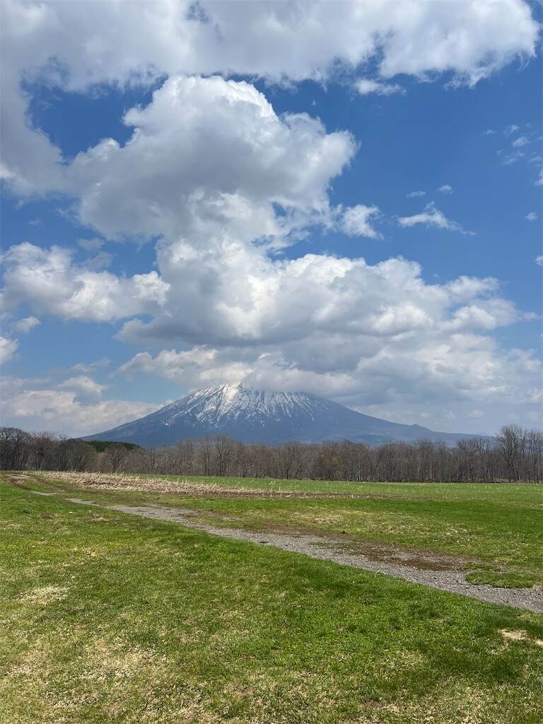 f:id:Kokoasan:20250507171841j:image