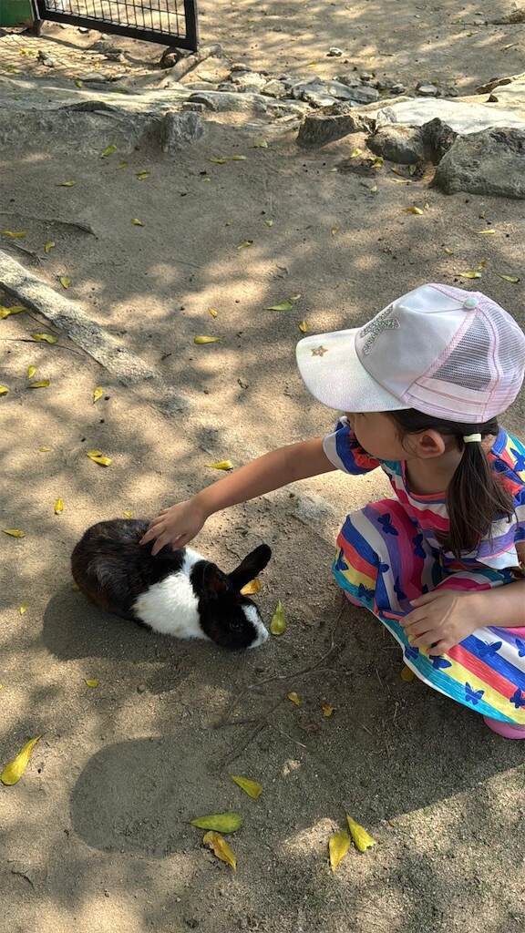 f:id:Kokoasan:20260309085431j:image