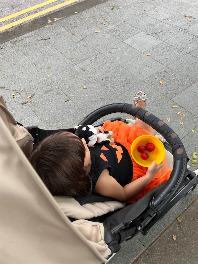 f:id:Kokoasan:20260711003506j:image f:id:Kokoasan:20260711003506j:image