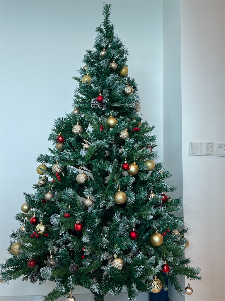 f:id:Kokopanda:20221222103401j:image