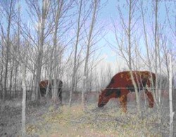 f:id:KokusaiTourist:20100302223331j:image f:id:KokusaiTourist:20100302223331j:image