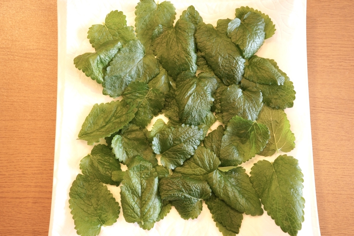 レモンバーム スパイスハーブ 材料1つで簡単レシピ 旅 料理好きによるブログ