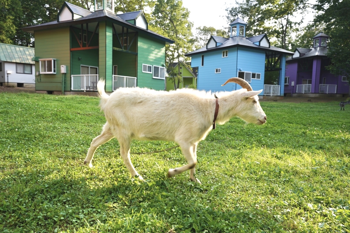 f:id:Komatsuzakiaya:20210530201036j:plain