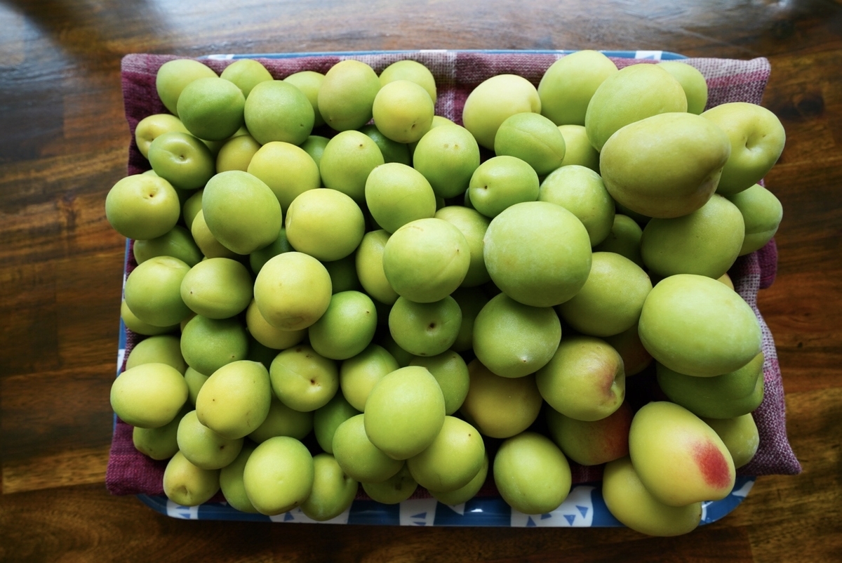 f:id:Komatsuzakiaya:20210606153446j:plain