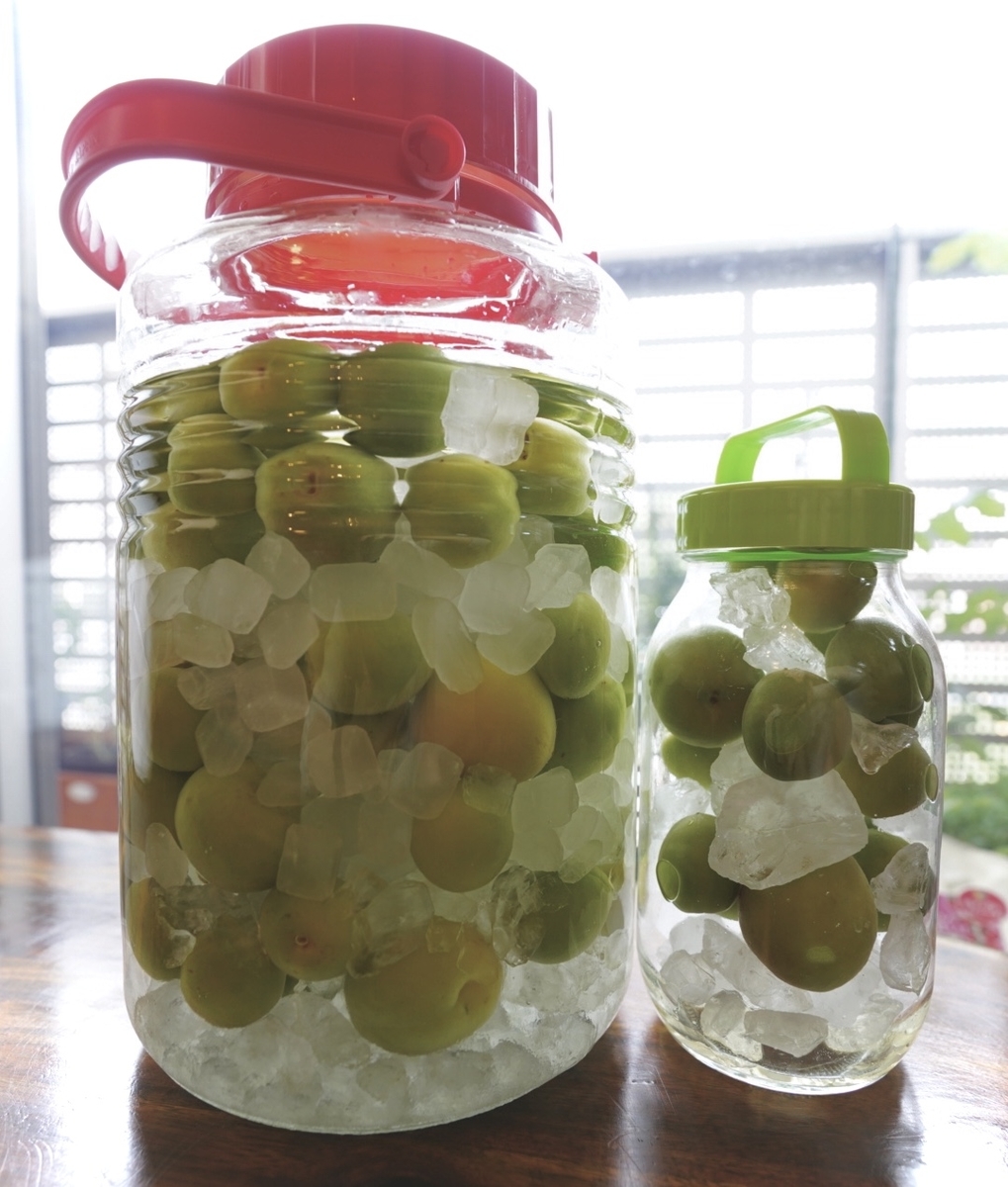 f:id:Komatsuzakiaya:20210606153449j:plain