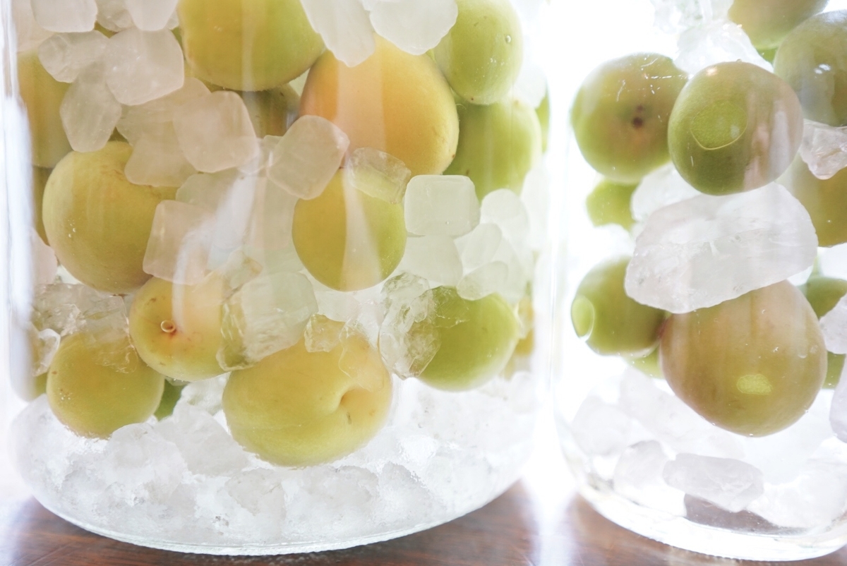 f:id:Komatsuzakiaya:20210606153501j:plain