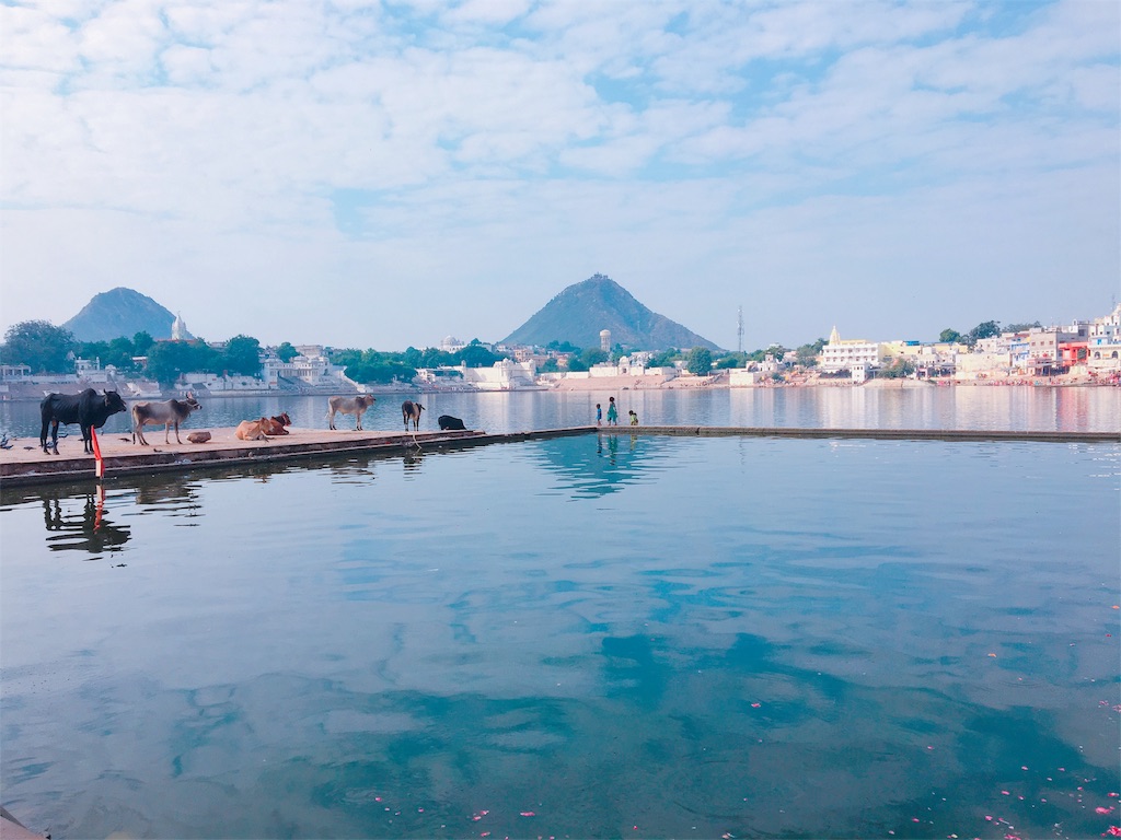 f:id:Kona-india:20161101063034j:image