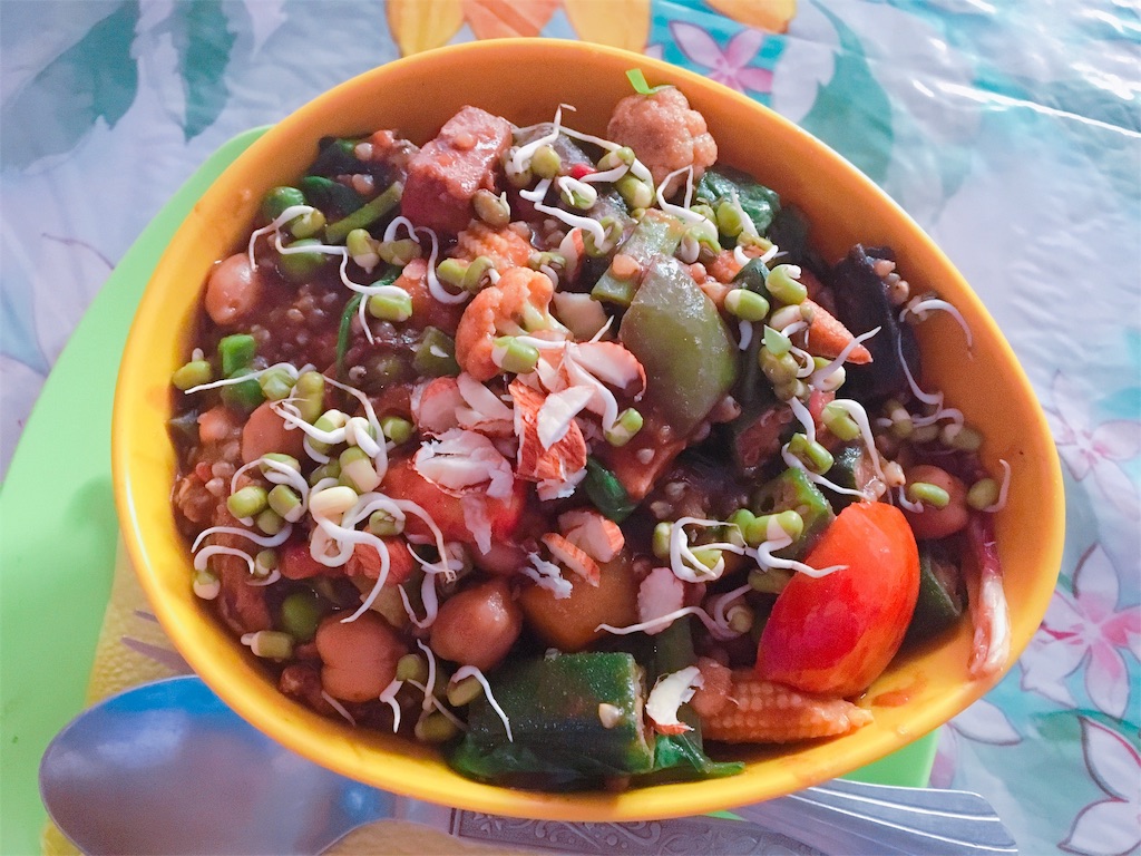 f:id:Kona-india:20161101065005j:image