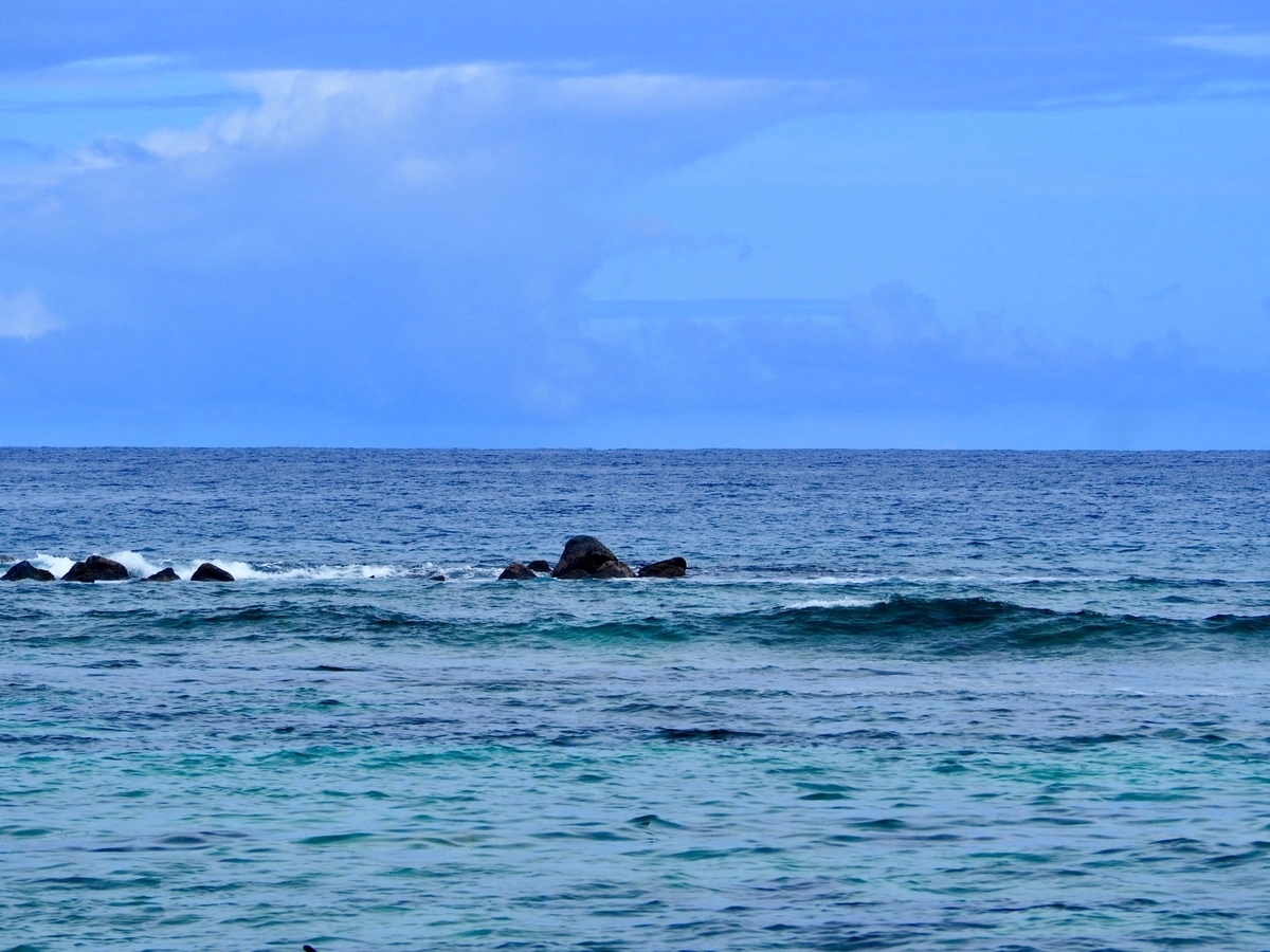 f:id:KonaHawaii:20200829131733j:plain