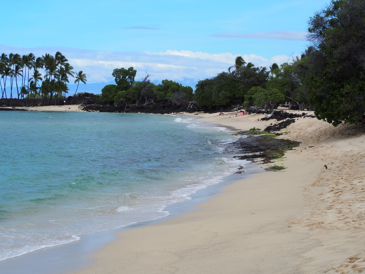 f:id:KonaHawaii:20201107100938j:plain