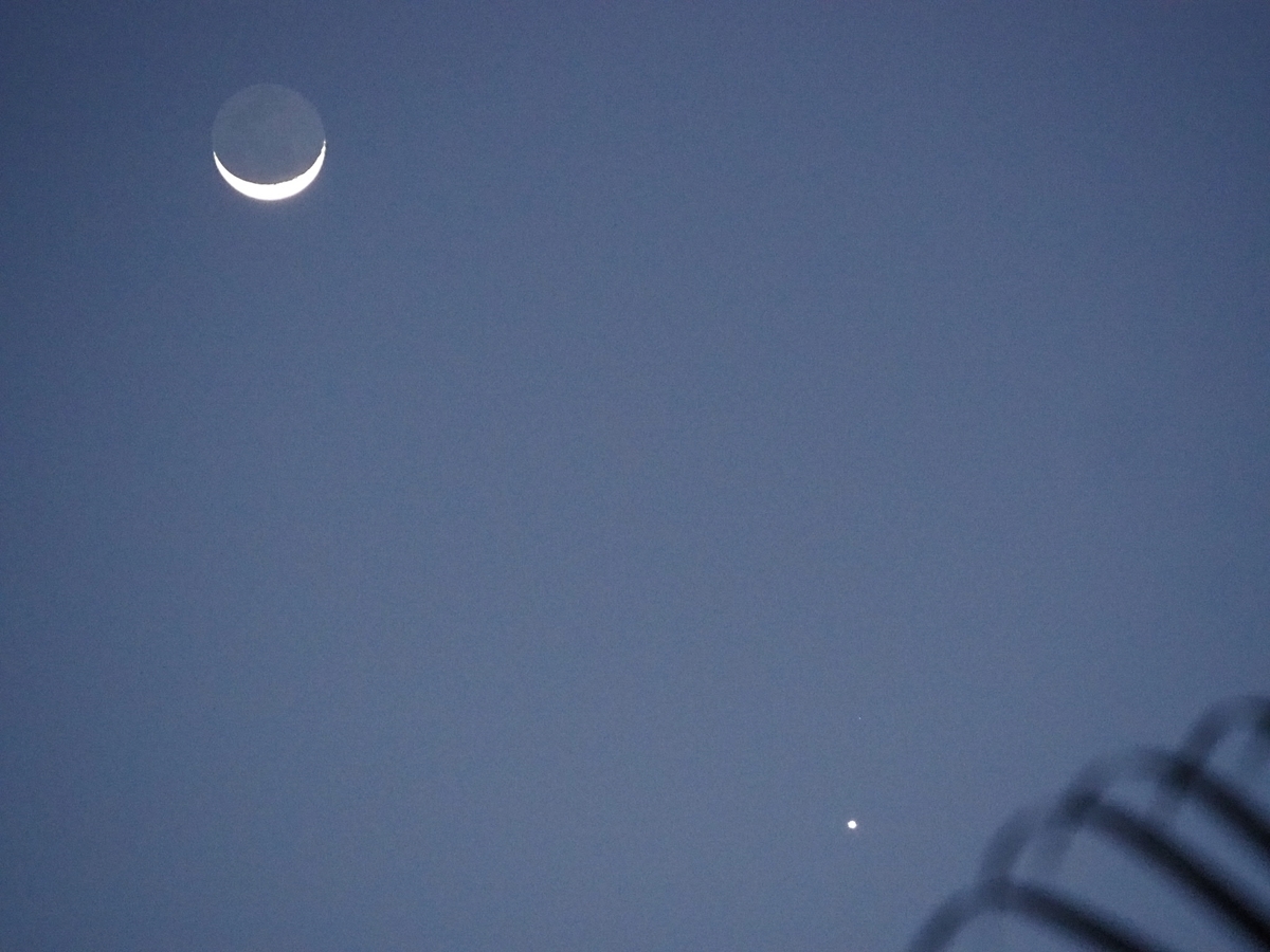 f:id:KonaHawaii:20201115105447j:plain