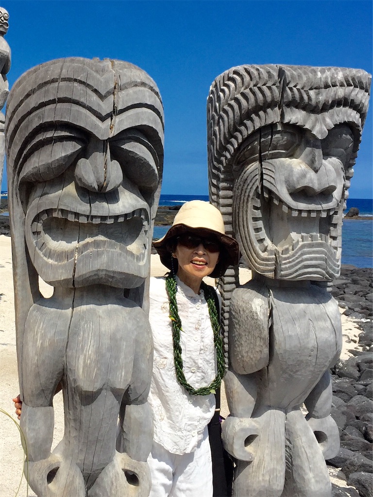 f:id:KonaHawaii:20210107064358j:image
