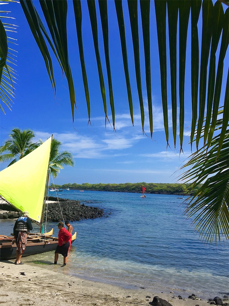 f:id:KonaHawaii:20210107065910j:image