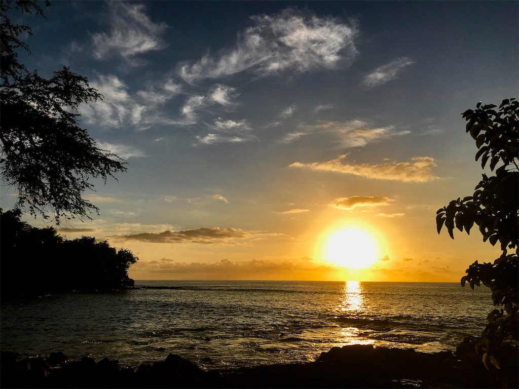 f:id:KonaHawaii:20210108083148j:image