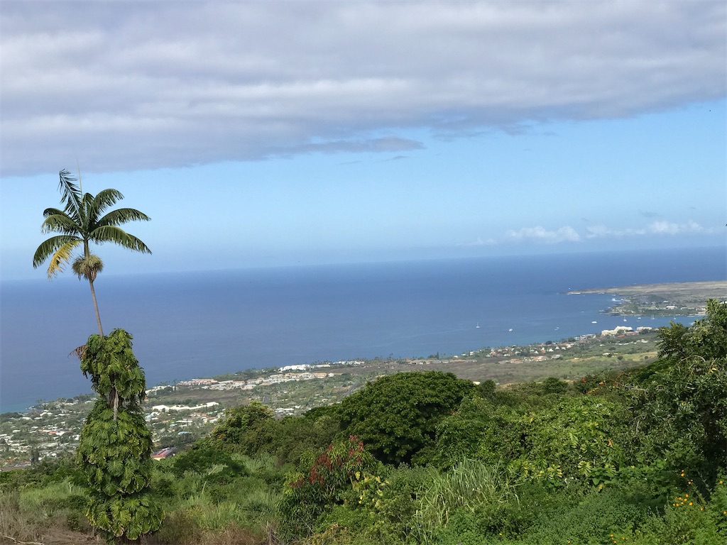 f:id:KonaHawaii:20210108084738j:image