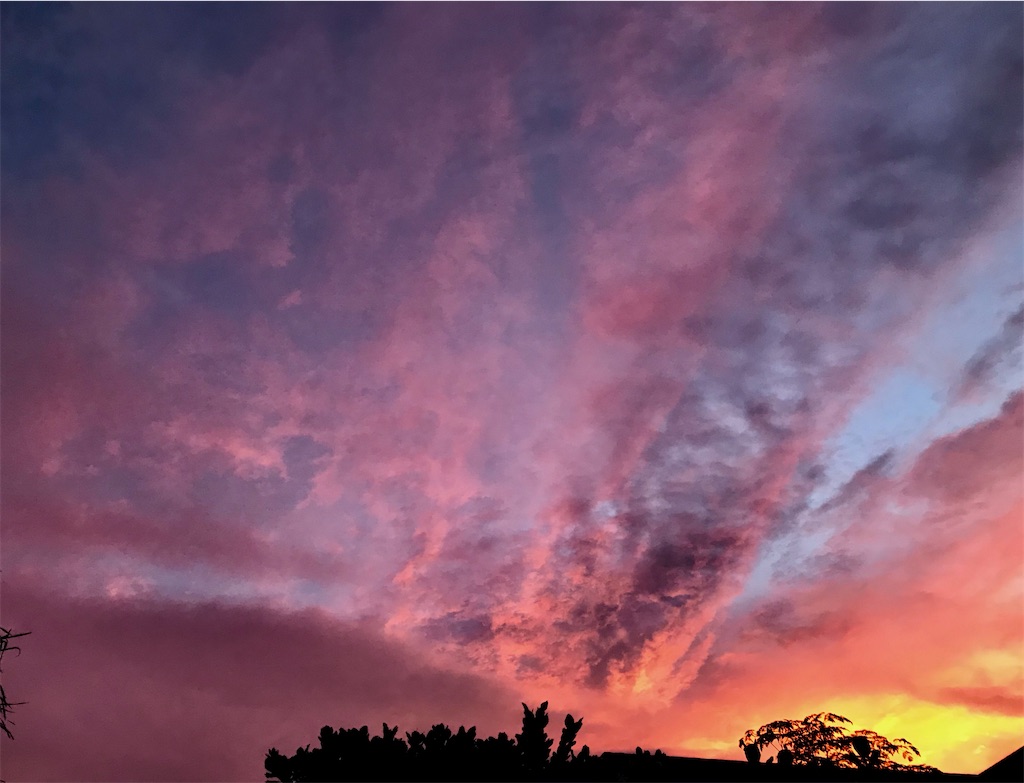 f:id:KonaHawaii:20210302080146j:image f:id:KonaHawaii:20210302080146j:image