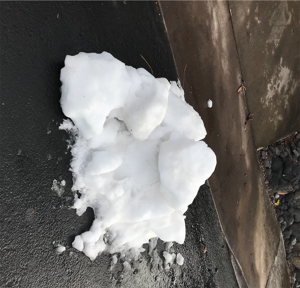 f:id:KonaHawaii:20210302080151j:plain