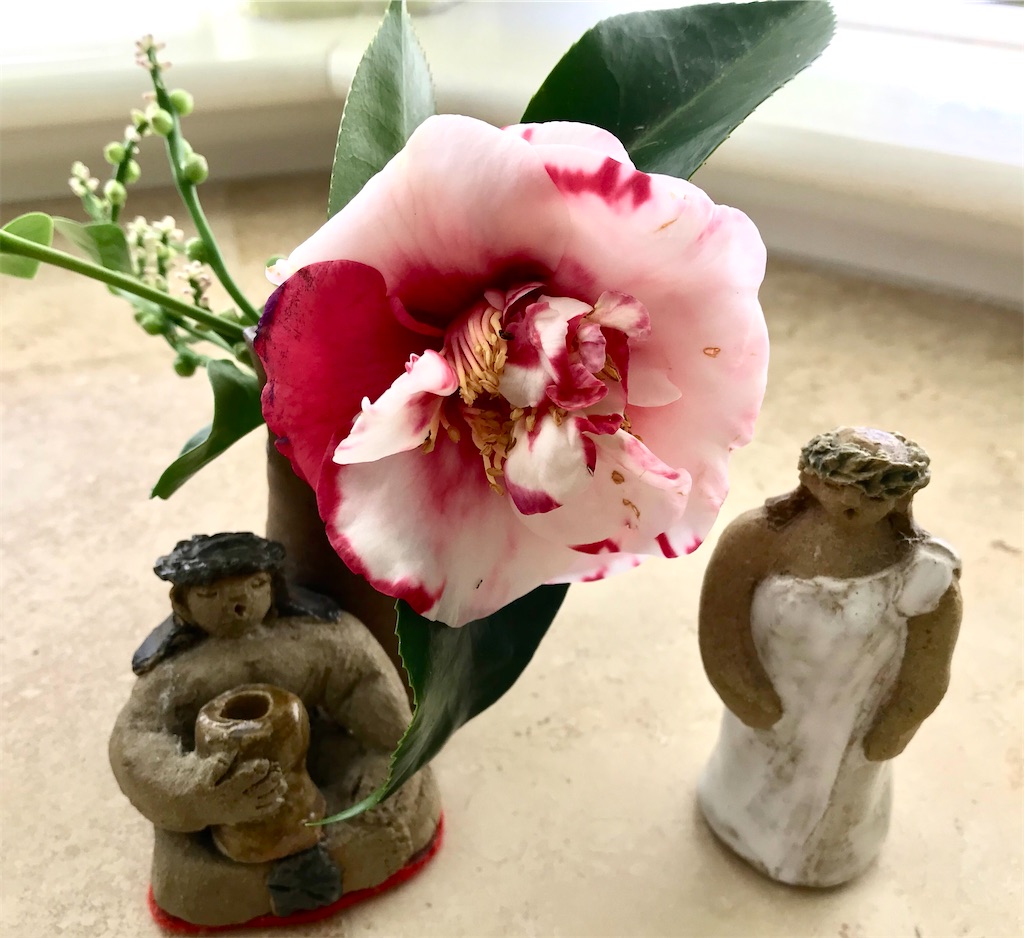 f:id:KonaHawaii:20210302081913j:image f:id:KonaHawaii:20210302081913j:image