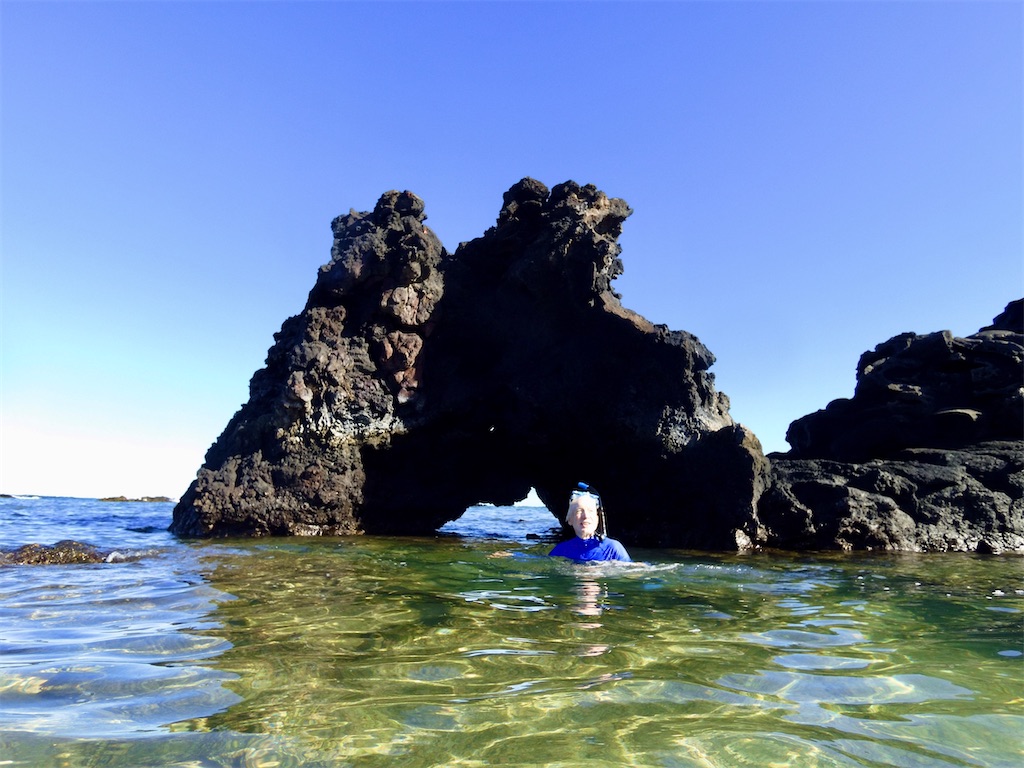 f:id:KonaHawaii:20210820122859j:image f:id:KonaHawaii:20210820122859j:image