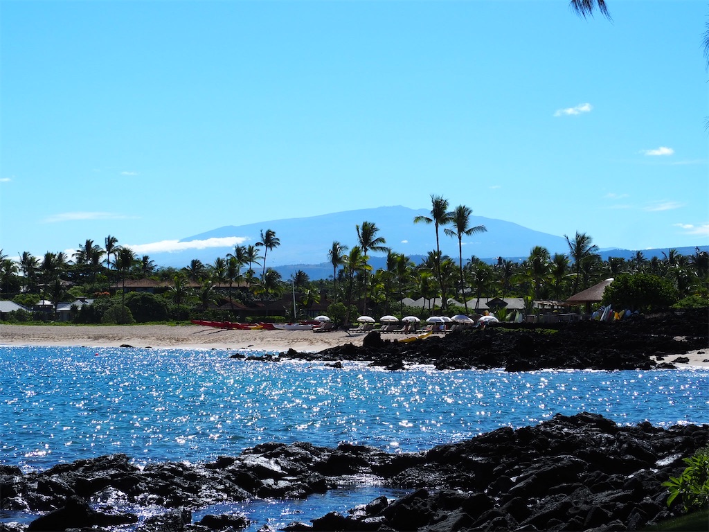 f:id:KonaHawaii:20210820133205j:plain