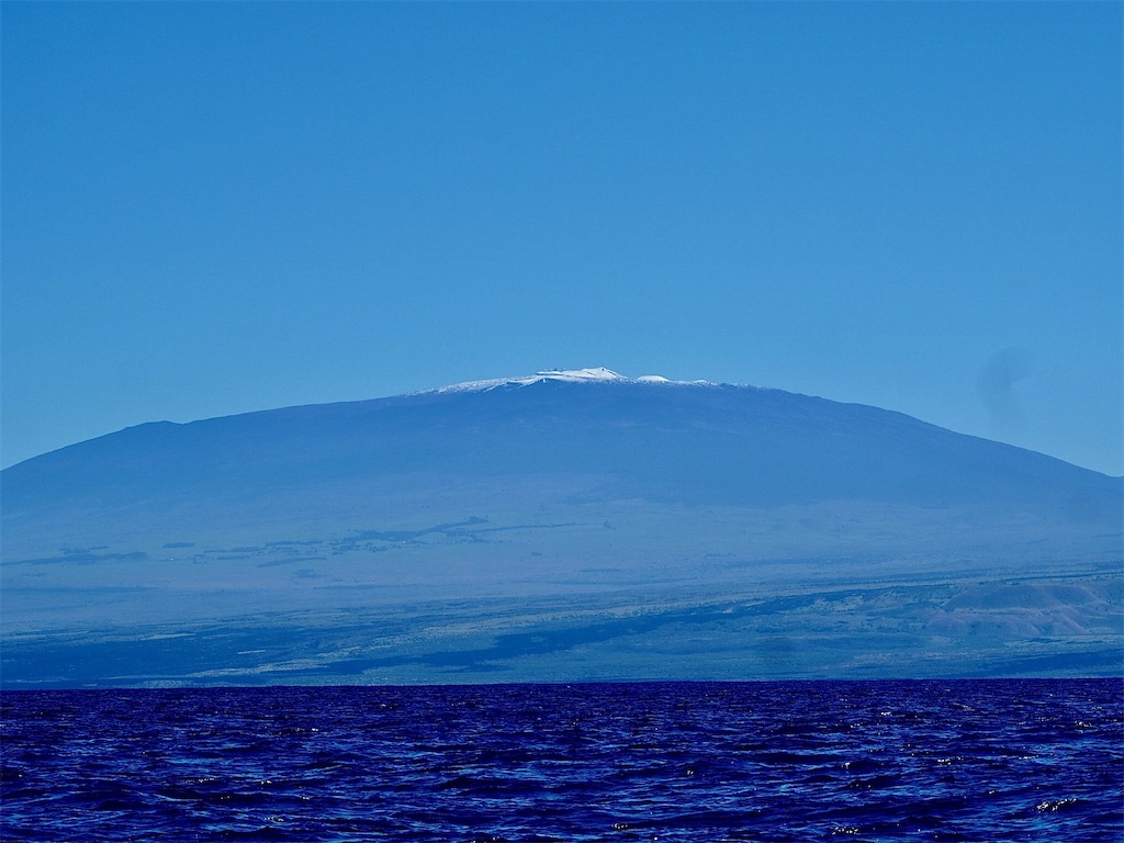 f:id:KonaHawaii:20211230133401j:image