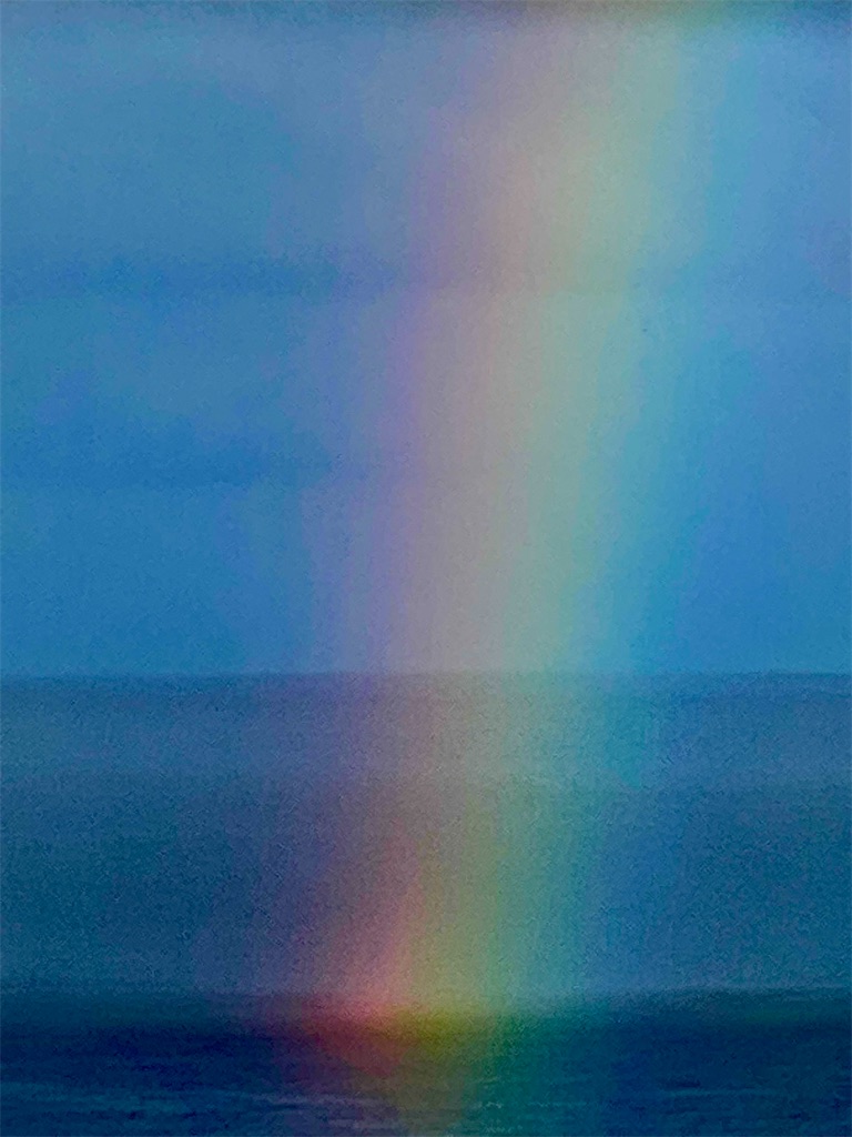 f:id:KonaHawaii:20220205060807j:plain