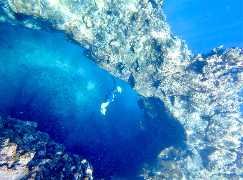 f:id:KonaHawaii:20220413081426j:image