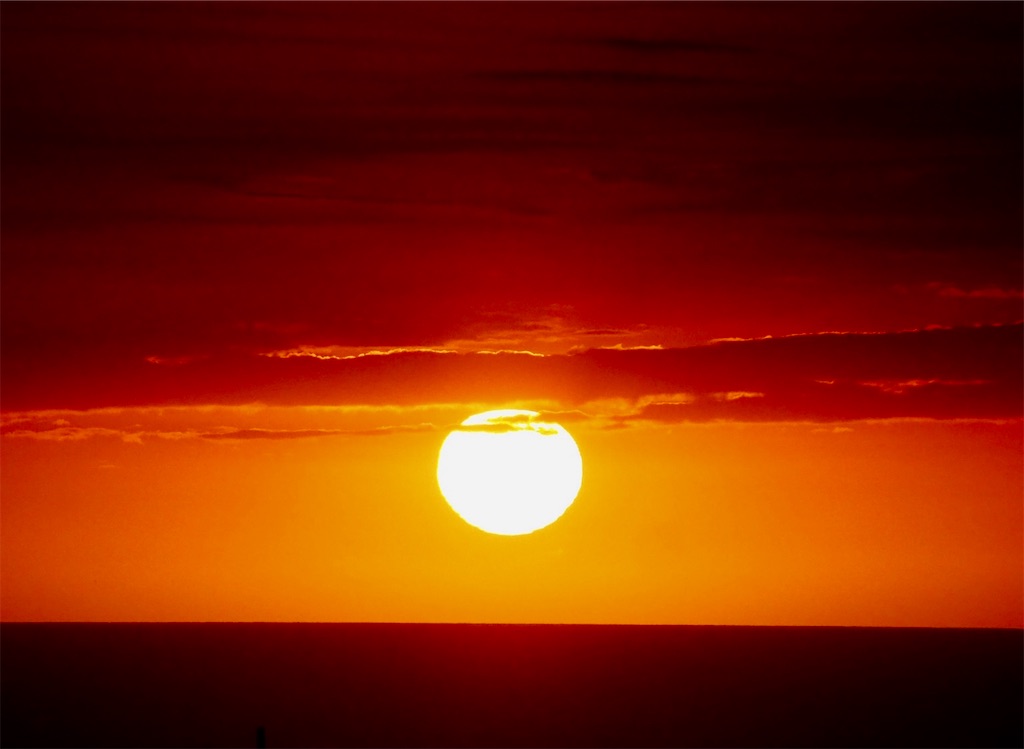 f:id:KonaHawaii:20220604120132j:image f:id:KonaHawaii:20220604120132j:image