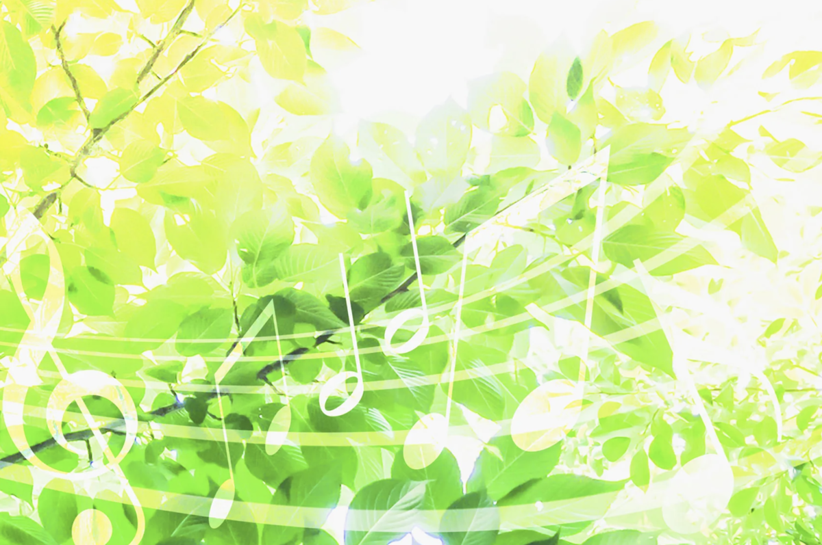 綺麗なコード Binary Diary