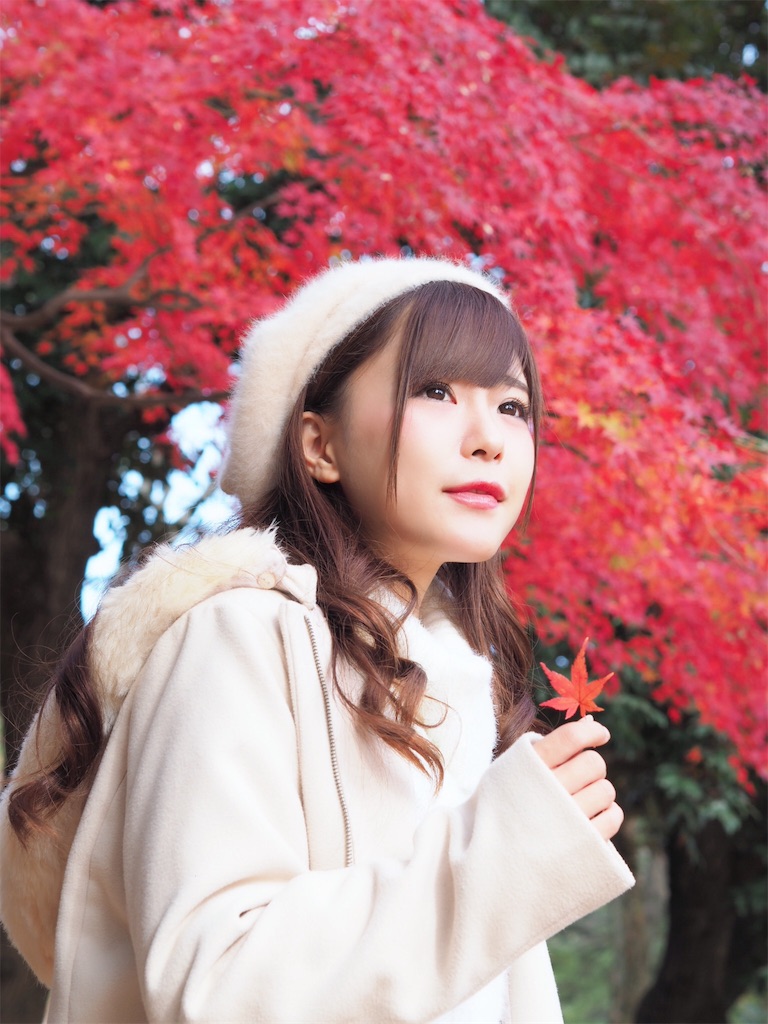 f:id:KotaroOkinawa:20191203151024j:image