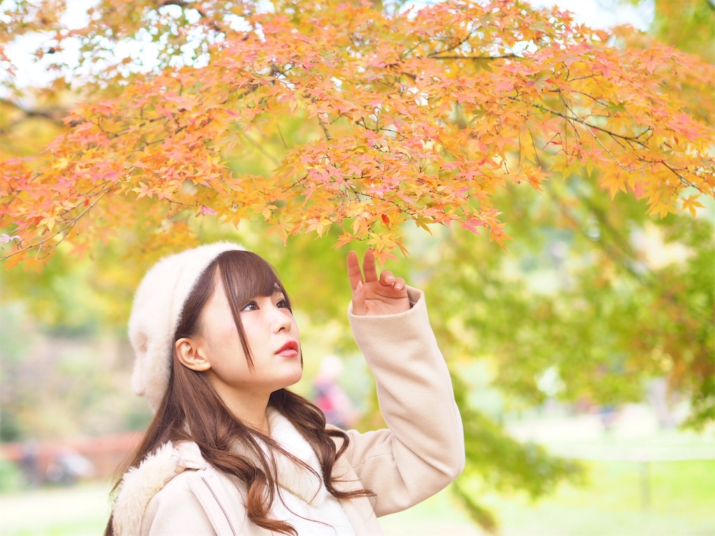 f:id:KotaroOkinawa:20191203151026j:image