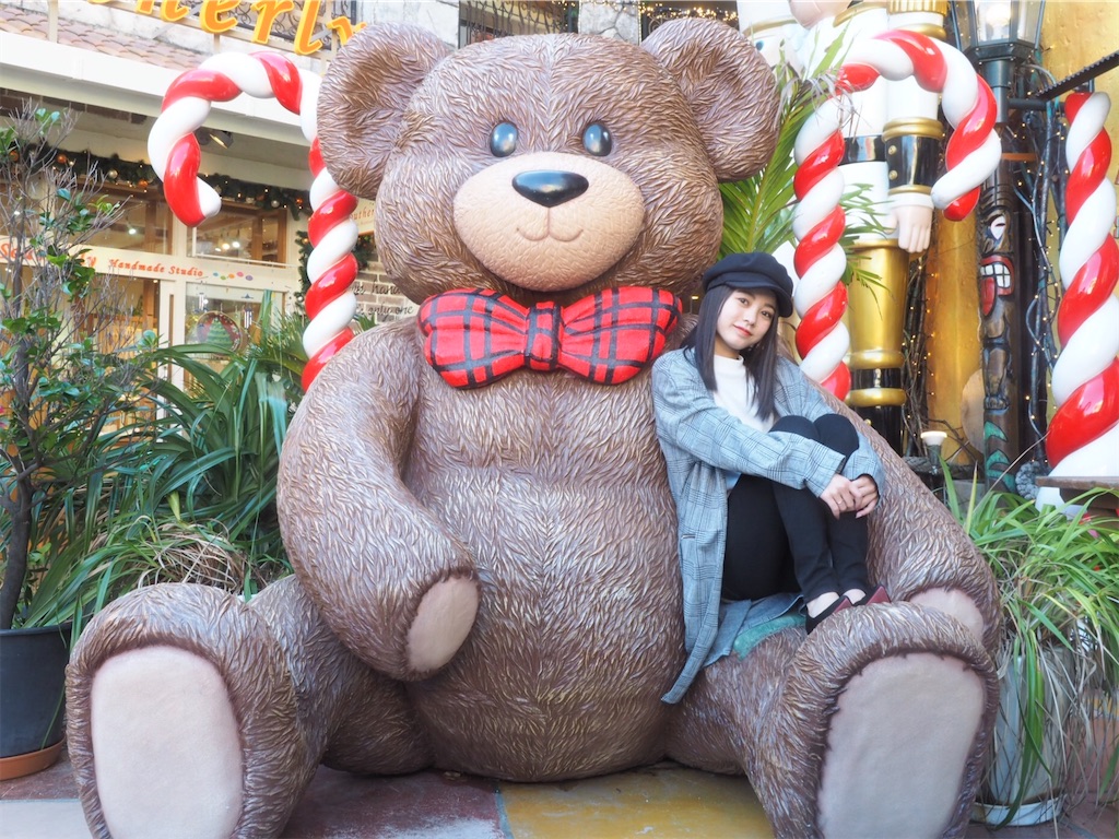 f:id:KotaroOkinawa:20191214102810j:image
