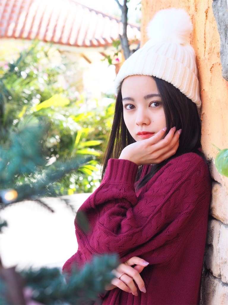 f:id:KotaroOkinawa:20191214102832j:image