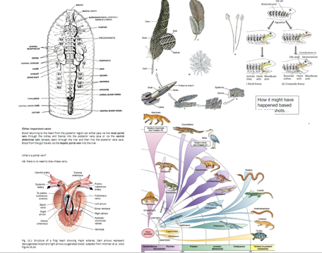 f:id:Kotaro_wombat:20200820194900p:plain