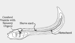 f:id:Kotaro_wombat:20200820195214p:plain