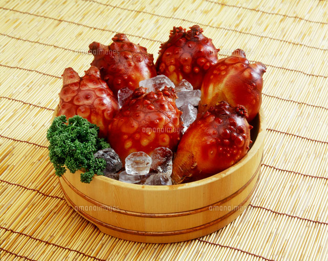 f:id:Kotaro_wombat:20200820195249j:plain