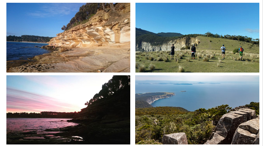 f:id:Kotaro_wombat:20200829215134p:plain