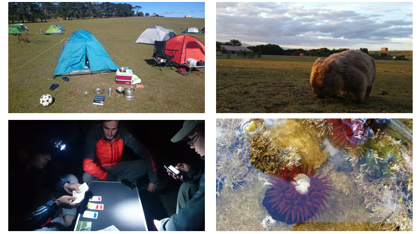 f:id:Kotaro_wombat:20200829215219p:plain