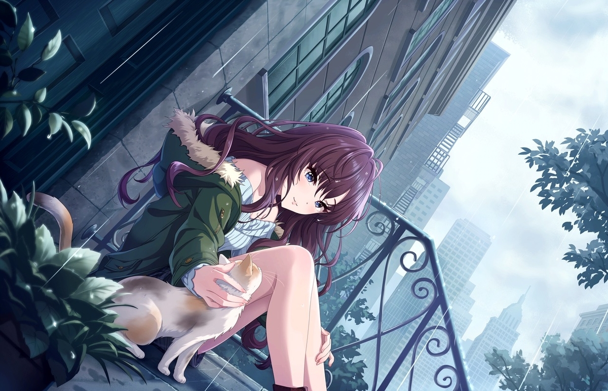 f:id:Kotoha-P_mtf:20200222222953j:plain f:id:Kotoha-P_mtf:20200222222953j:plain