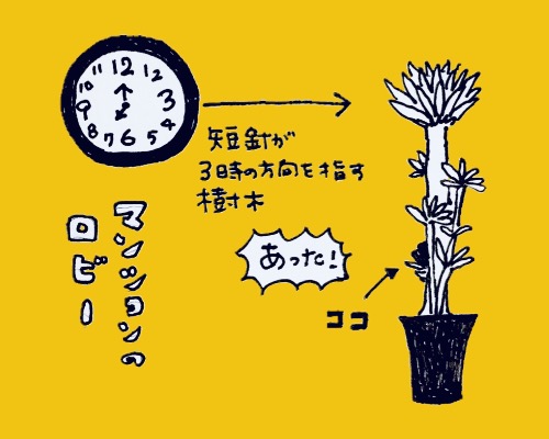 宝探し 大時計 樹木