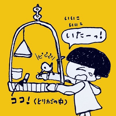 宝探し トリカゴの中