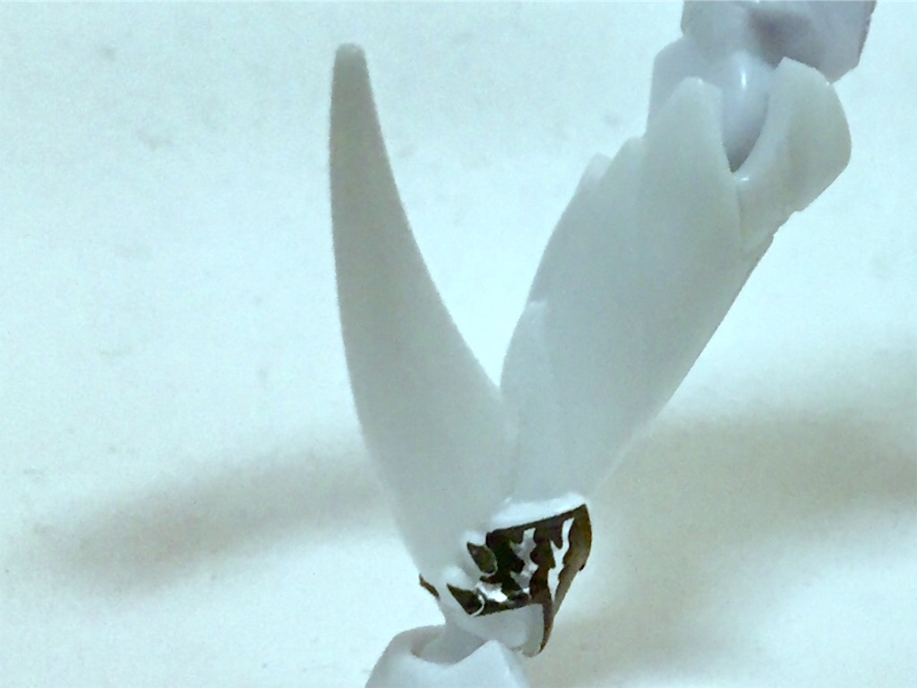 f:id:Kou_Boom:20190429234315j:image f:id:Kou_Boom:20190429234315j:image