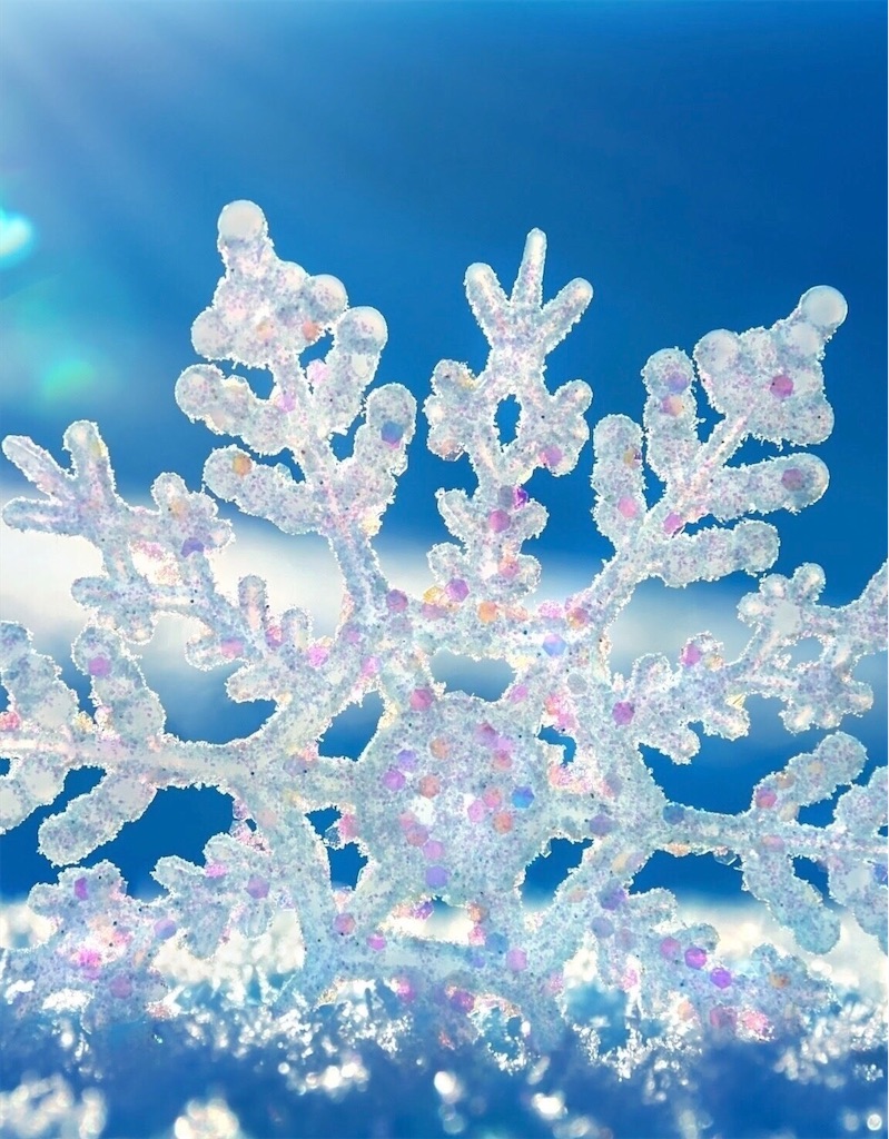 f:id:Kougetsu:20220112214708j:image f:id:Kougetsu:20220112214708j:image